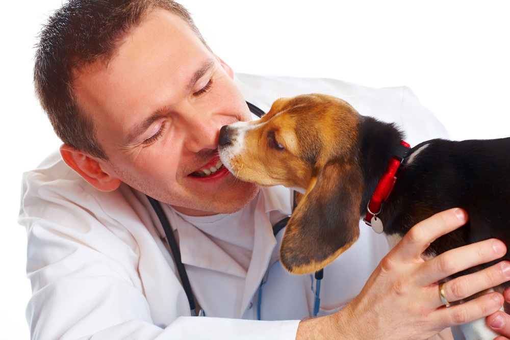 veterinary care near at trinity pet hospital in lake forest, laguna hills, and irvine